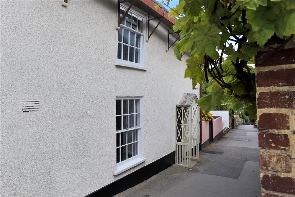 The Nest, Lyme Regis Holiday Cottage Bird Spot
