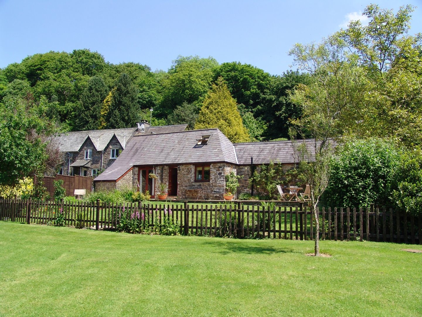 honey-house-devon-holiday-cottage-bird-spot