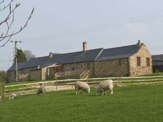 Photo of The Dairy