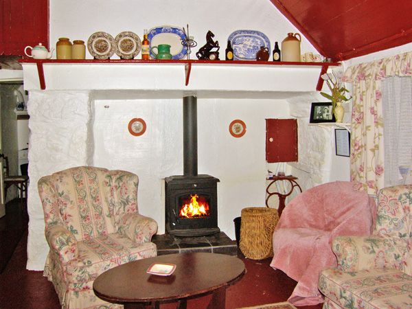Wood stove shop near me