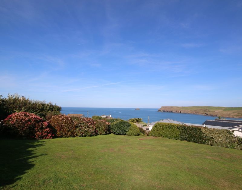 Little Buckden, Polzeath Holiday Cottage Bird Spot
