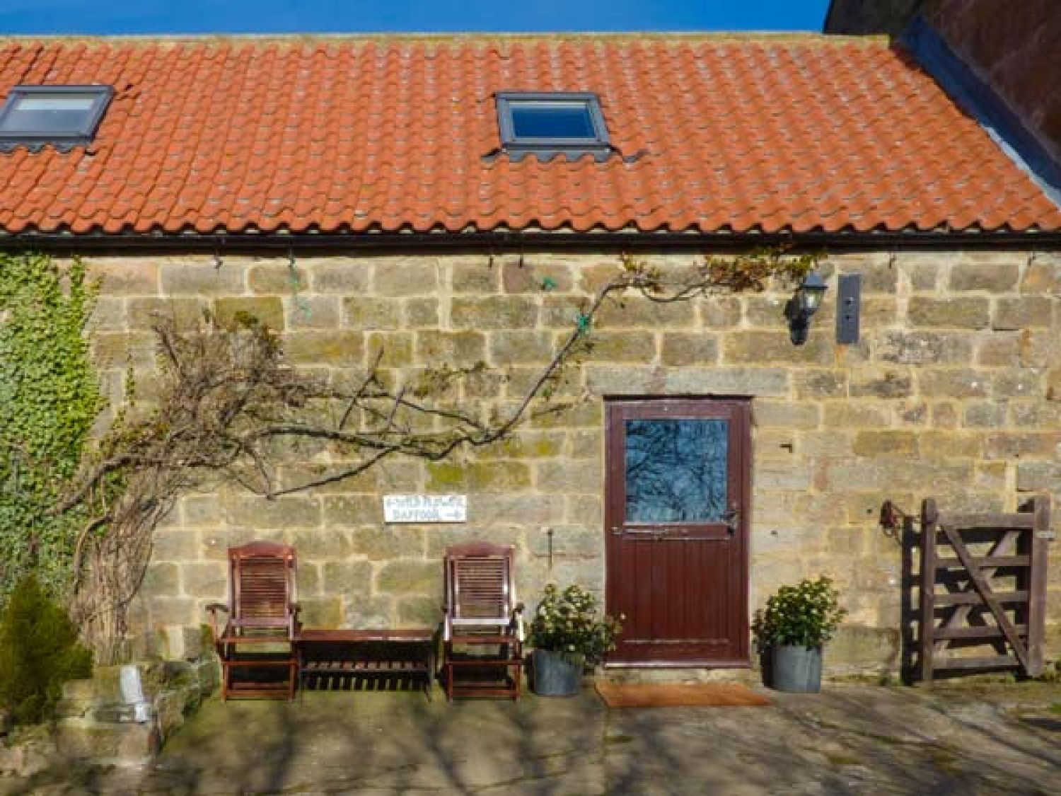 Daffodil Cottage - Whitby & North Yorkshire - 1575 - photo 1