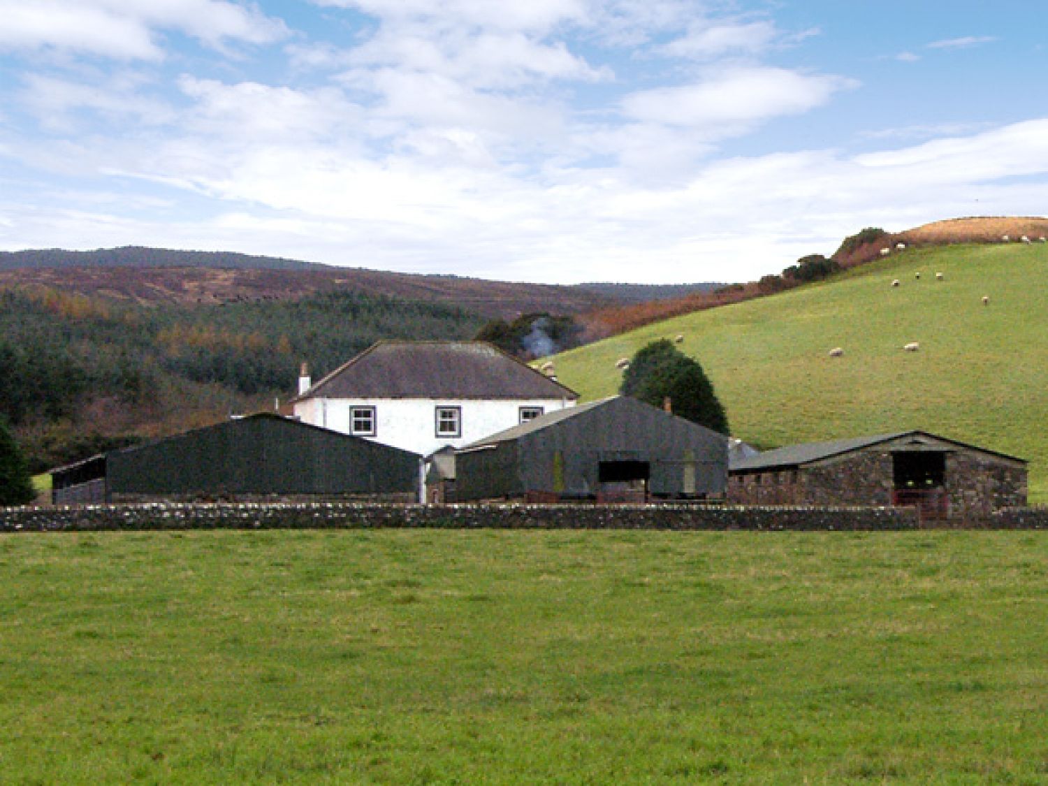 Property For Sale In Campbeltown Scotland Property For Sale In Campbeltown Scotland