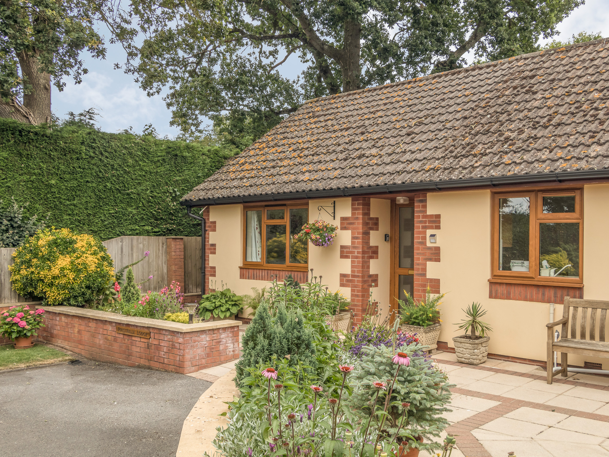 Pipistrelle Lodge, Devon