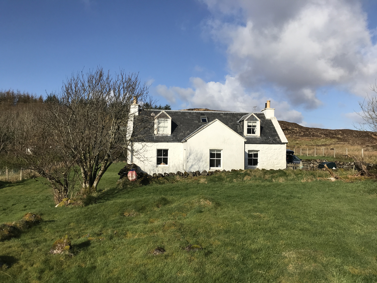 Half of 6, Gedintailor, Braes