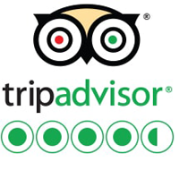  Tripadvisor reviews